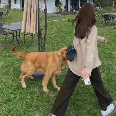 四月一日灵异事件簿第一季